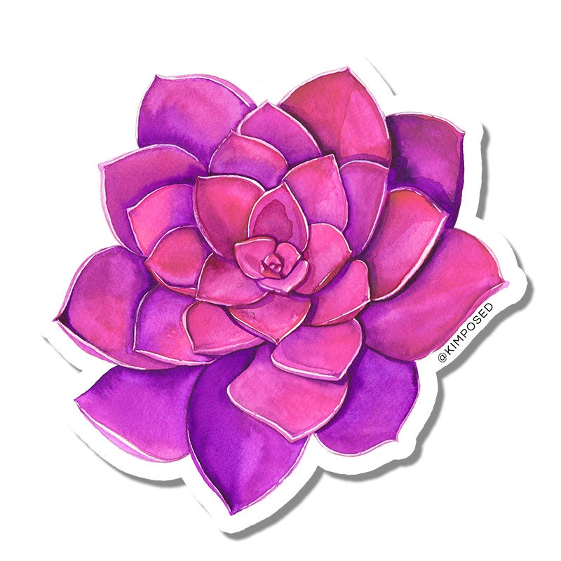 Pink and Purple Succulent 3" Waterproof Vinyl Sticker for Water Bottles, Laptops, Phones & More **FREE USA SHIPPING**