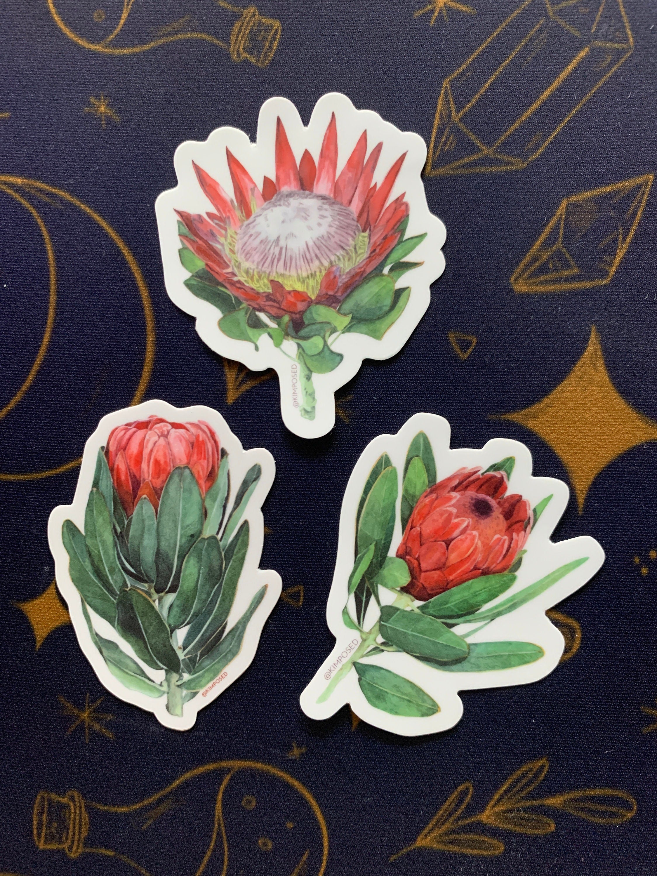 Protea Flower Trio Sticker Pack - Three 3 Waterproof Vinyl Stickers f