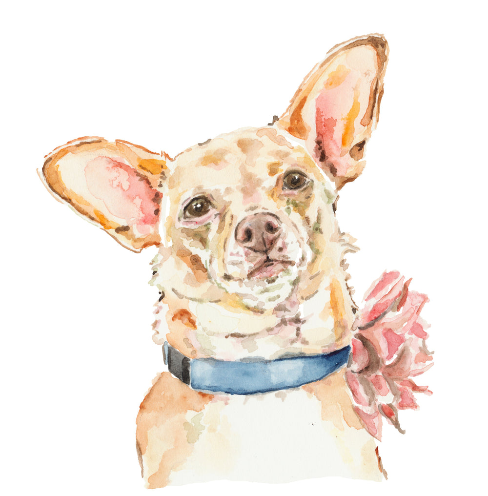 Chiweenie Mini Custom Dog Portrait