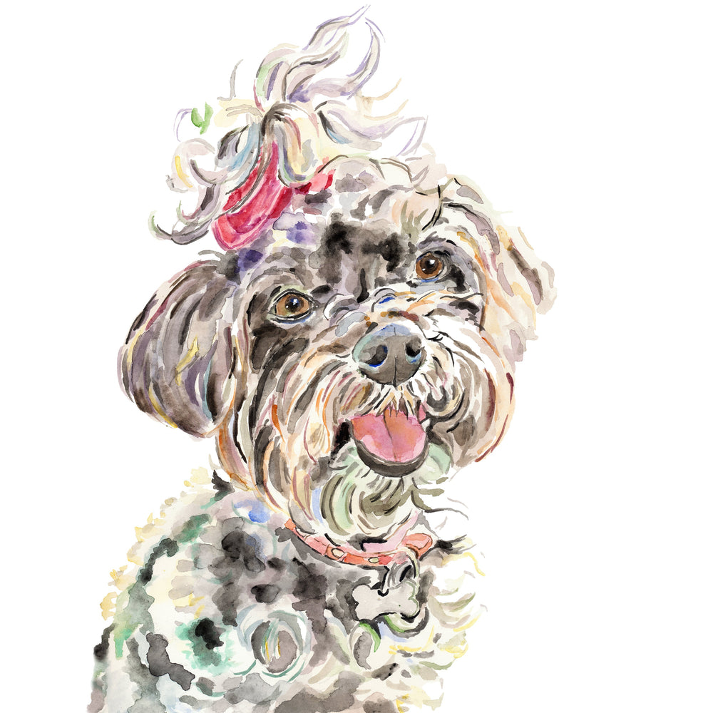 Custom Watercolor Poodle Dog Portrait