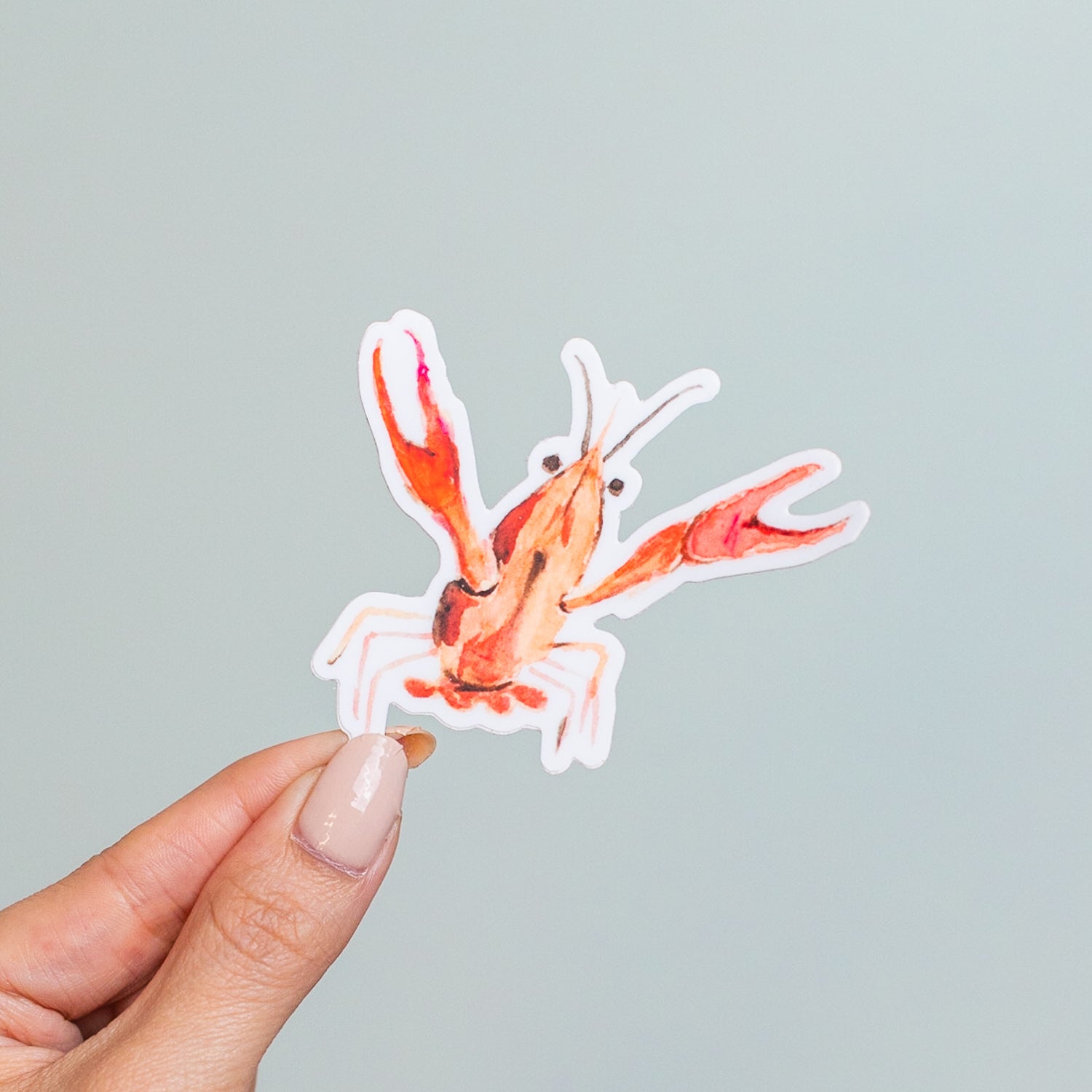 Crawfish Sticker