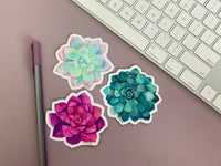 Best Sellers Trio Succulent Sticker Pack - Three 3" Waterproof Vinyl Stickers for Water Bottles, Laptops, Phones & More *FREE USA SHIPPING*