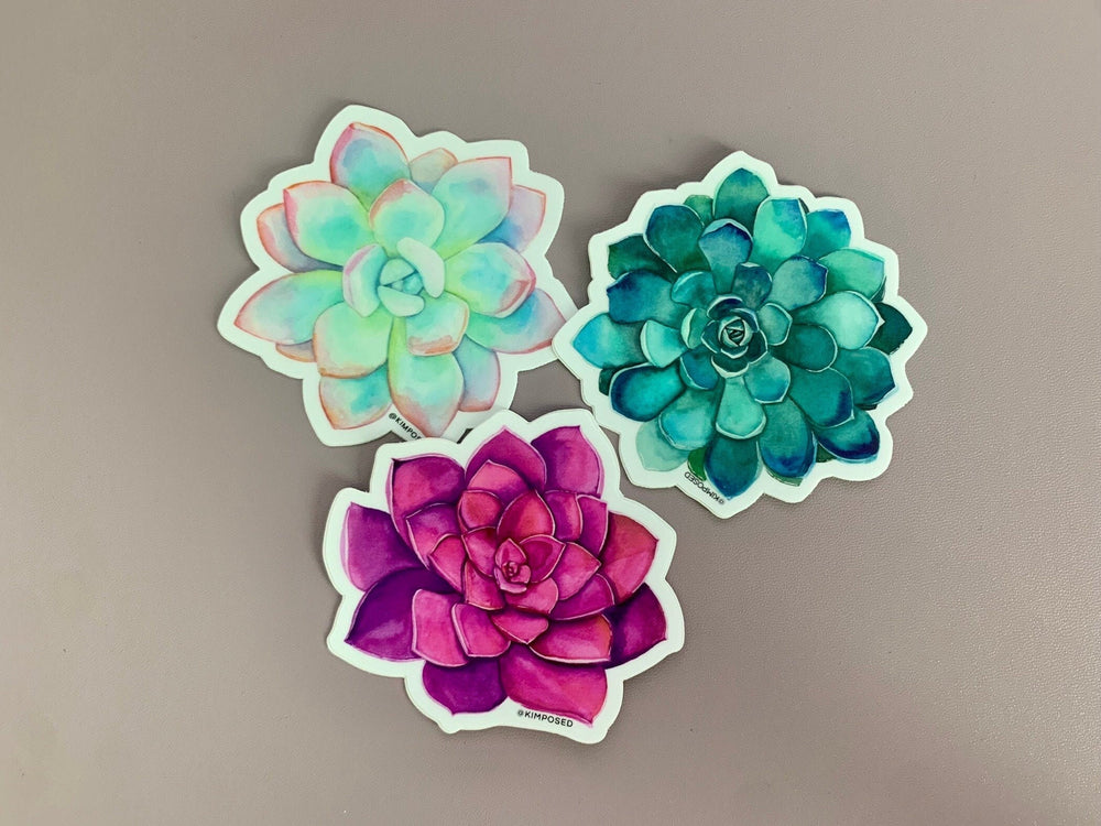 Best Sellers Trio Succulent Sticker Pack - Three 3" Waterproof Vinyl Stickers for Water Bottles, Laptops, Phones & More *FREE USA SHIPPING*