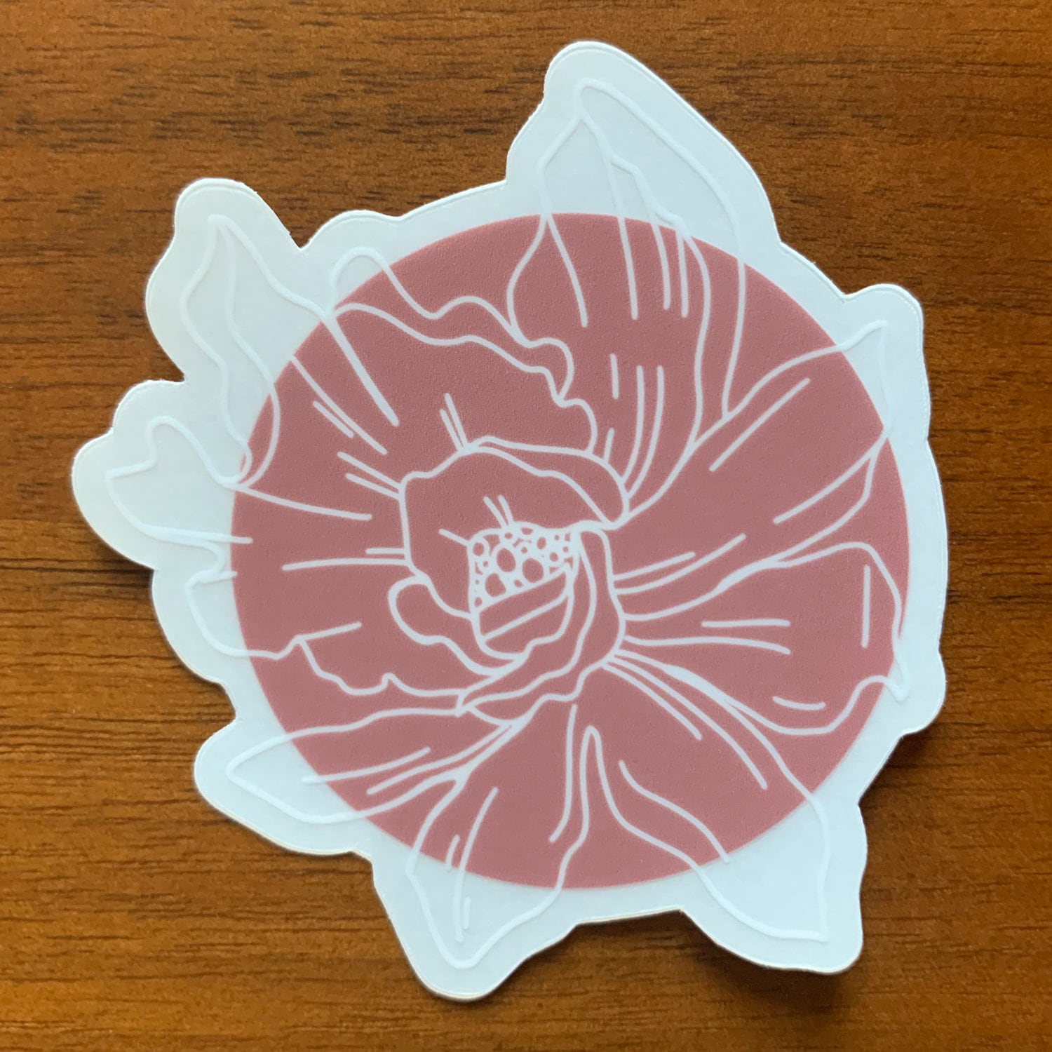 Blush Anemone Flower 3" Clear Background Vinyl Sticker for Water Bottles, Laptops, Phone Cases, & More **FREE USA SHIPPING**