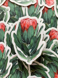 Protea Flower 3" Waterproof Vinyl Sticker for Water Bottles, Laptops, Phones & More **FREE USA SHIPPING**