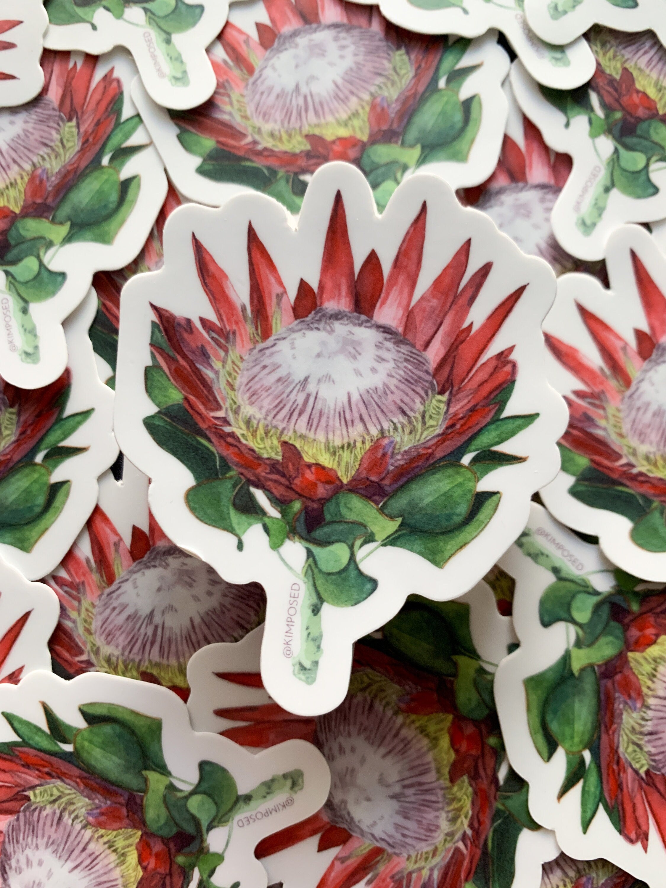 Protea Flower Trio Sticker Pack - Three 3" Waterproof Vinyl Stickers for Water Bottles, Laptops, Phones & More *FREE USA SHIPPING*