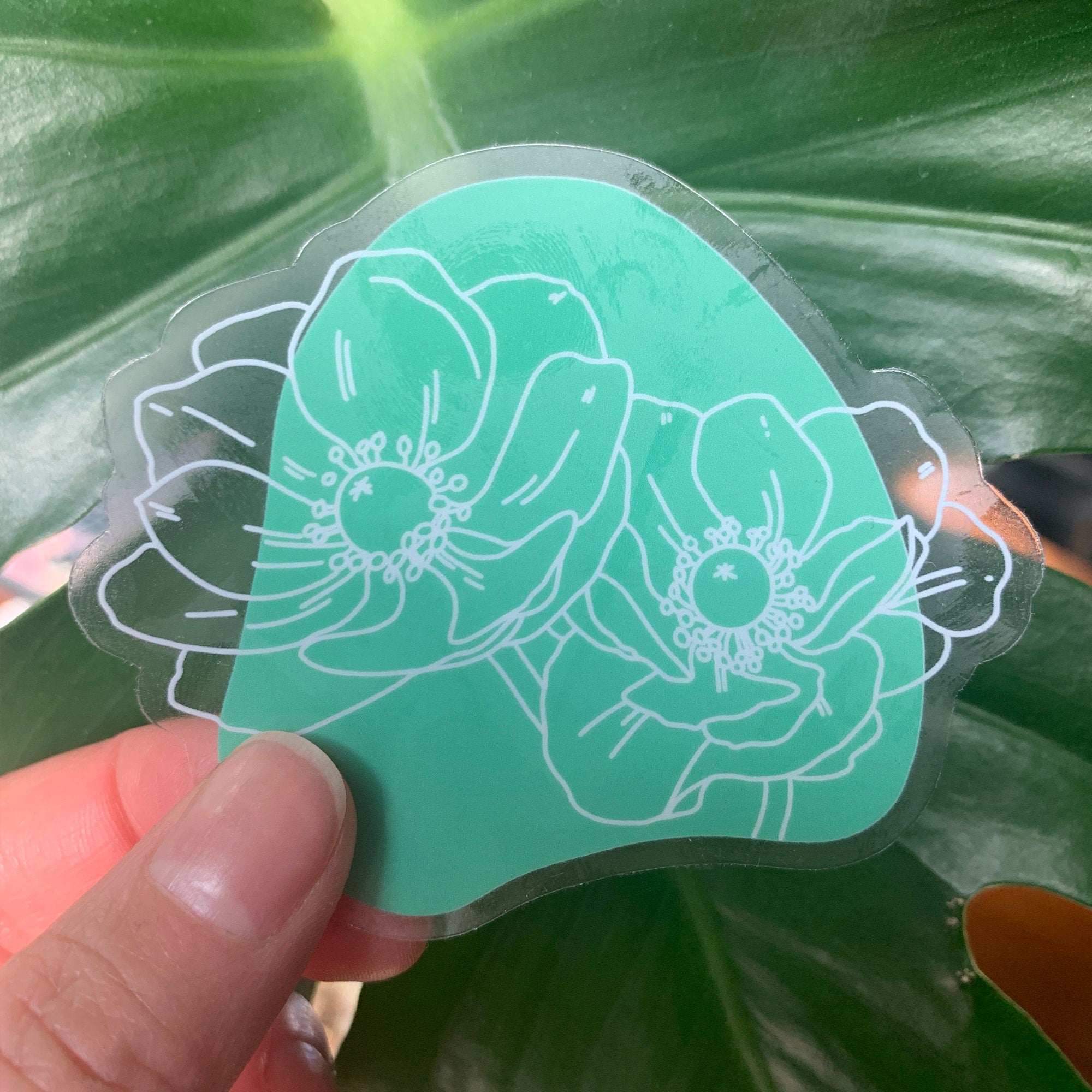 Teal Anemone Flower 3" Clear Background Vinyl Sticker for Water Bottles, Laptops, Phone Cases, & More **FREE USA SHIPPING**