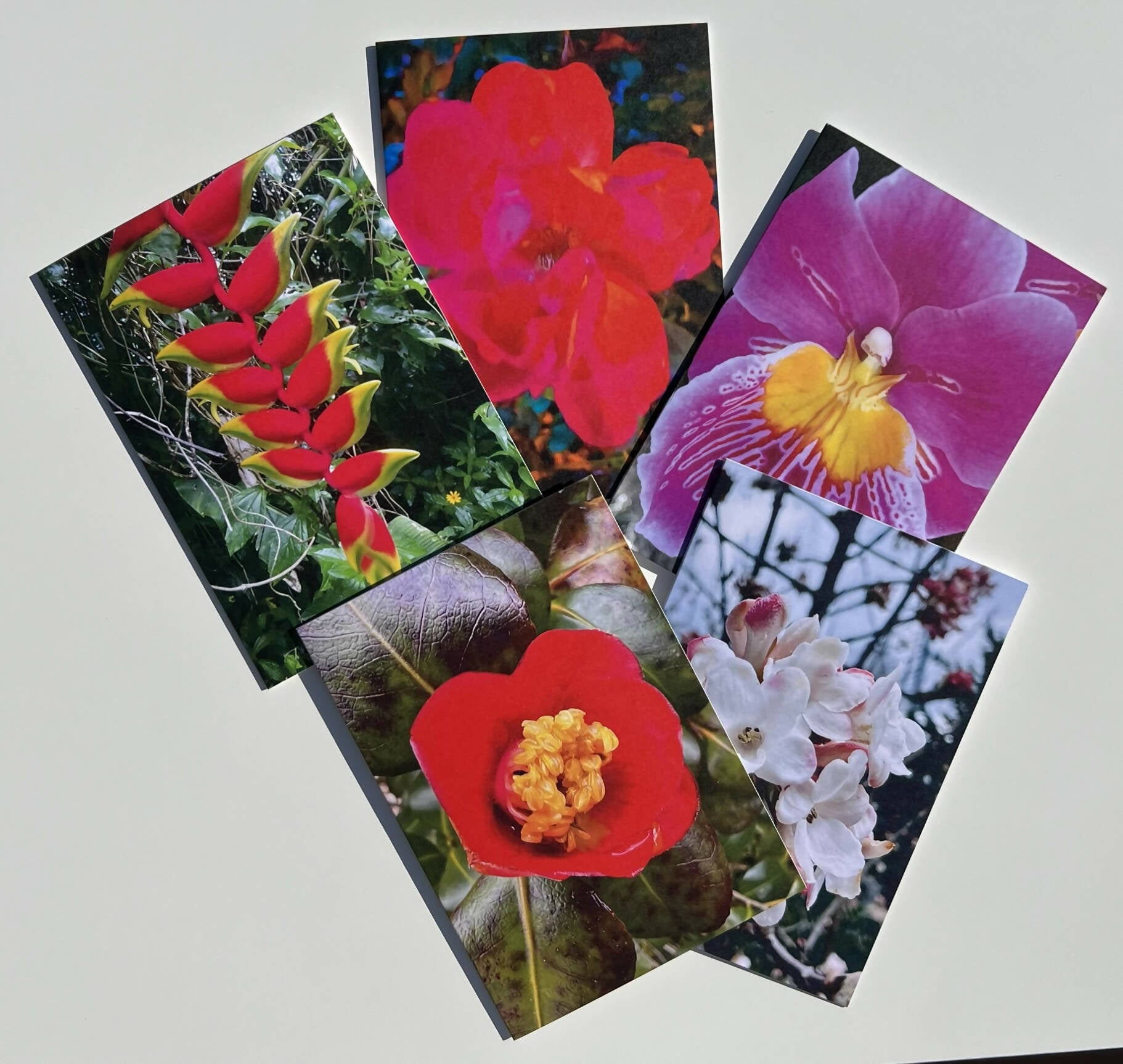 Luxe Floral Photo Greeting Cards