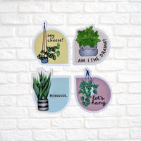 Aesthetic Plant Lover Stickers for Water Bottle, Laptop | Cheese Plant Sticker | Fittonia Sticker | Snake PlantSticker | Pothos Sticker