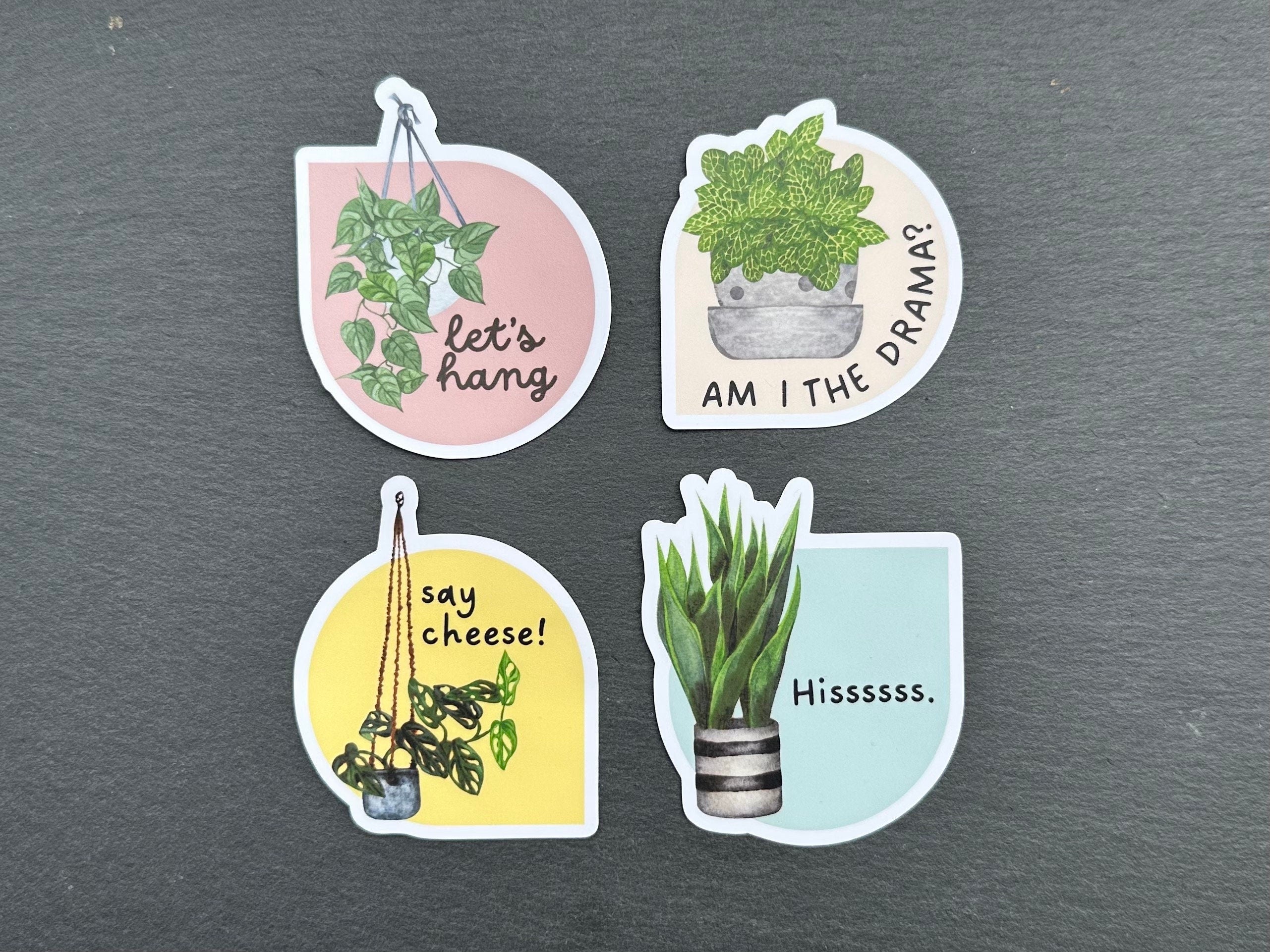 Aesthetic Plant Lover Stickers for Water Bottle, Laptop | Cheese Plant Sticker | Fittonia Sticker | Snake PlantSticker | Pothos Sticker