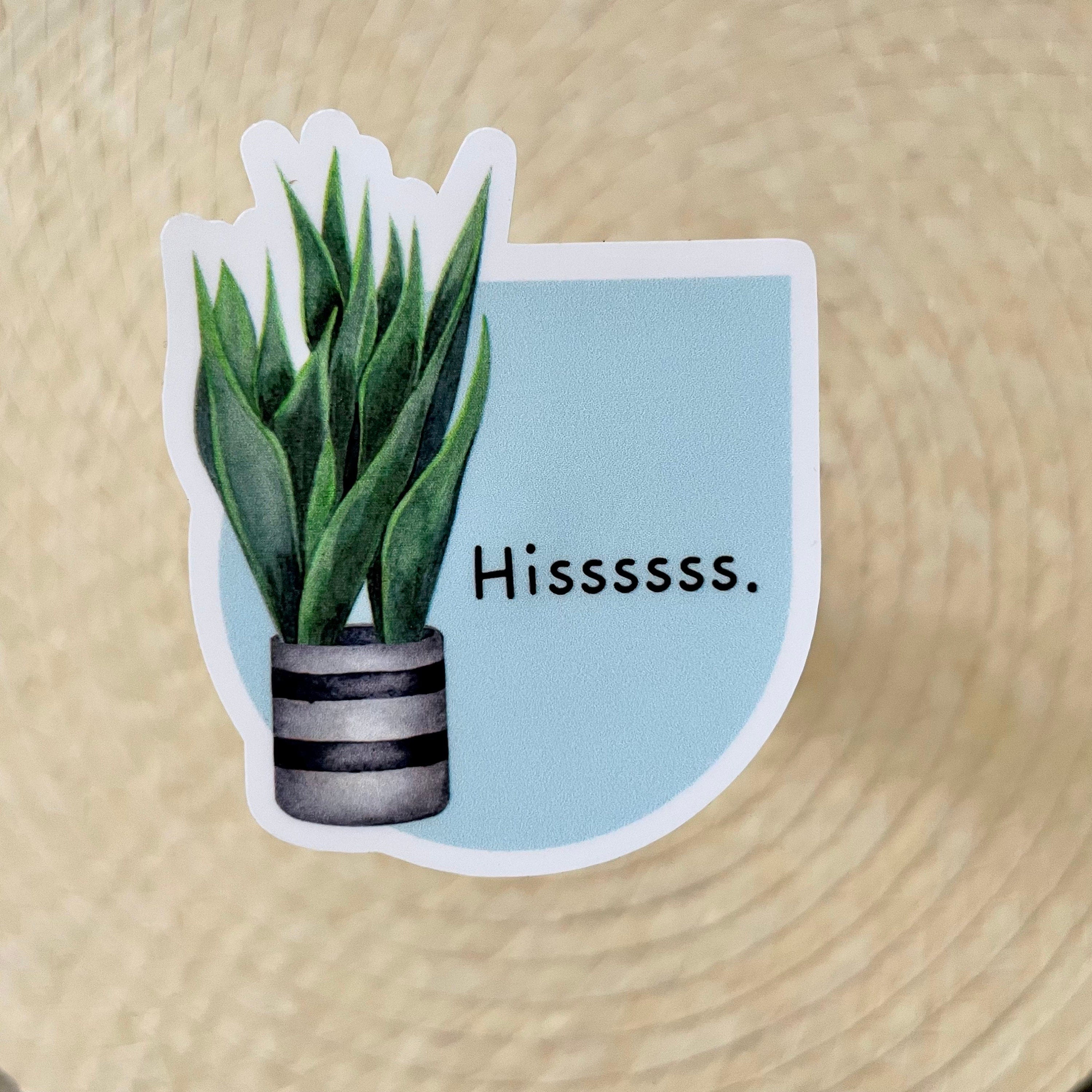 Snake Plant Sticker | Aesthetic Plant Lover Stickers for Water Bottle, Laptop | Cheese Plant Sticker
