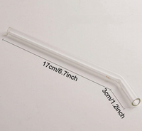 Clear Glass Straw Bent
