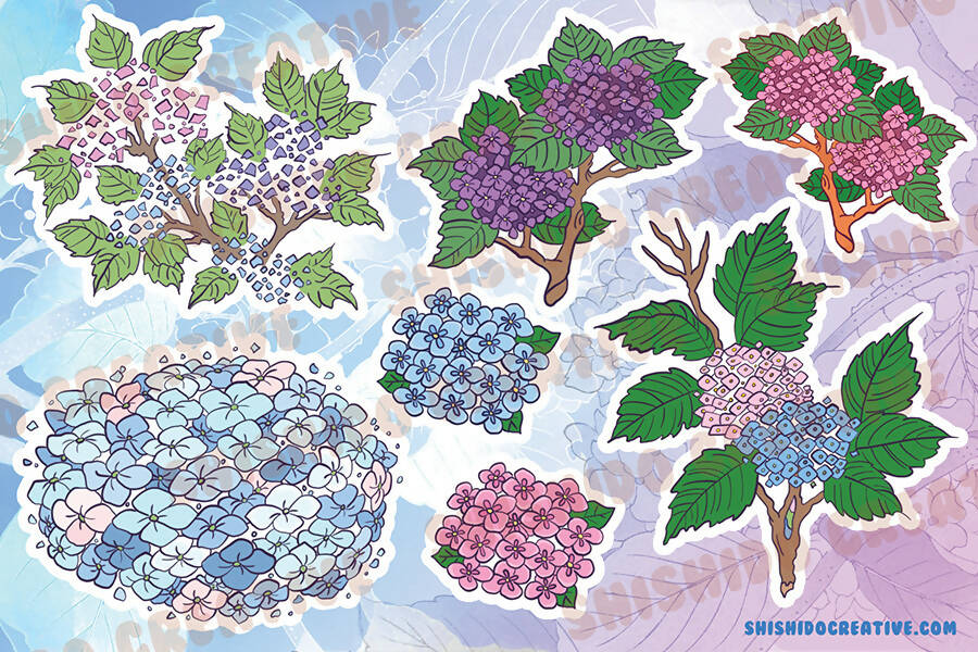Hydrangeas Flowers Sticker Sheet • 4x6" Planner Stickers