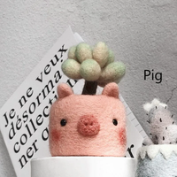 Pig Animal & Plant Needle Felting DIY Kit